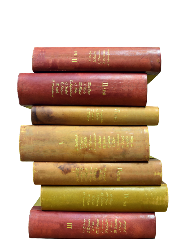 book stack, books, antiquariat, read, literature, stack, old, spine, used books, stacked, old books, paper, to learn, to study, training, associations, knowledge, bookcase, cover, bound, second hand, leather binding, nostalgic, memory, isolated, book stack free, past, book stack, book stack, book stack, book stack, book stack, books, books, books, old books